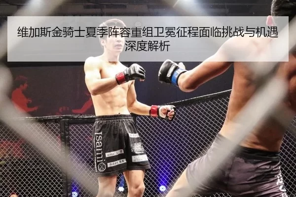 维加斯金骑士夏季阵容重组卫冕征程面临挑战与机遇深度解析