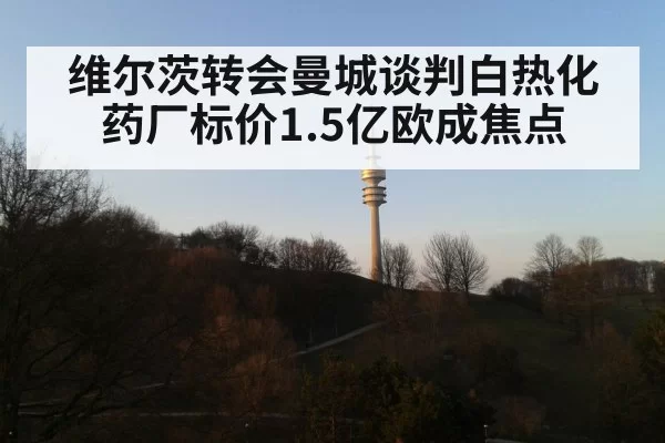 维尔茨转会曼城谈判白热化 药厂标价1.5亿欧成焦点